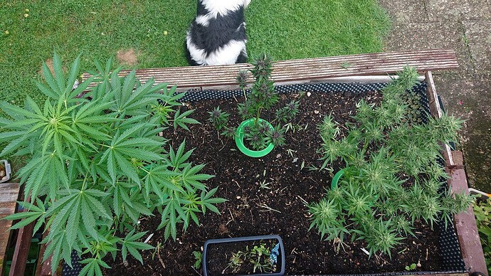 Growreport Bild 21