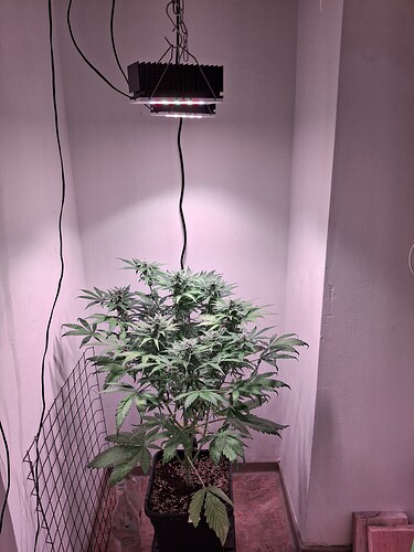 Growreport Bild 19