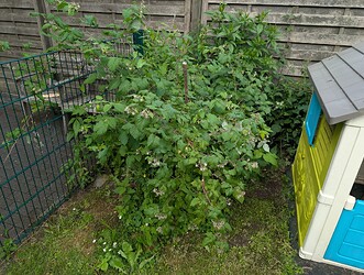 PXL_20250530_103023137.MP