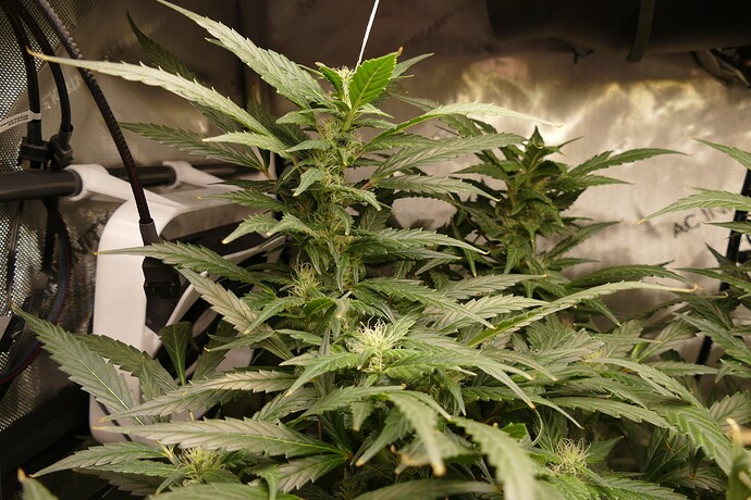 Growreport Bild 2