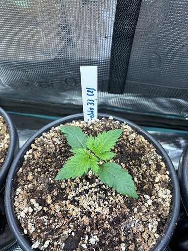 Growreport Bild 23