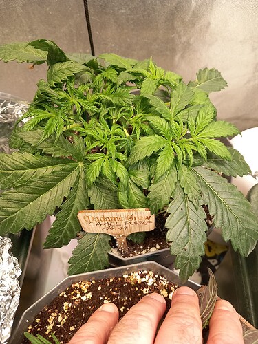 Growreport Bild 17