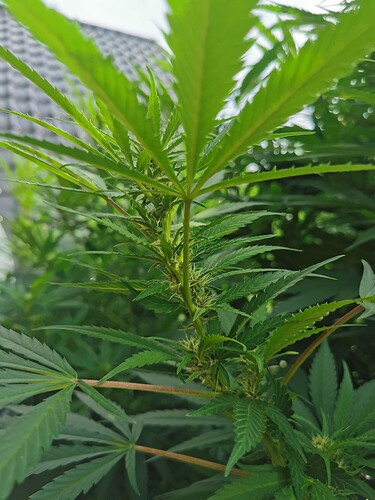 Growreport Bild 22