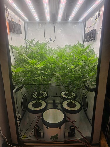 Growreport Bild 25