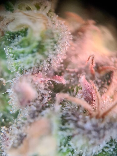 Growreport Bild 18
