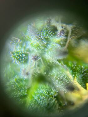 photo_2024-10-13_13-09-17