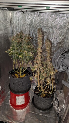 Growreport Bild 8