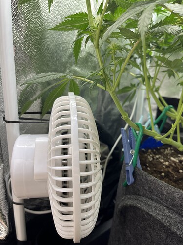 Growreport Bild 10