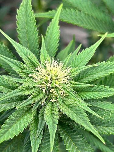 Growreport Bild 16