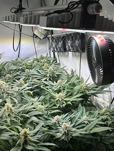 Growreport Bild 20