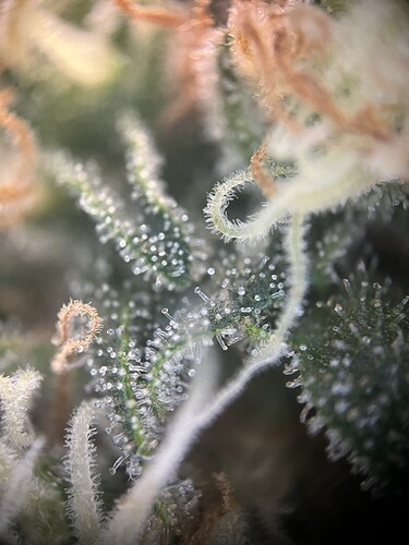 Growreport Bild 12