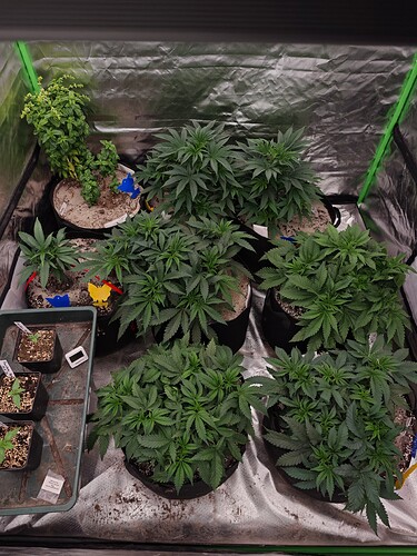 Growreport Bild 23