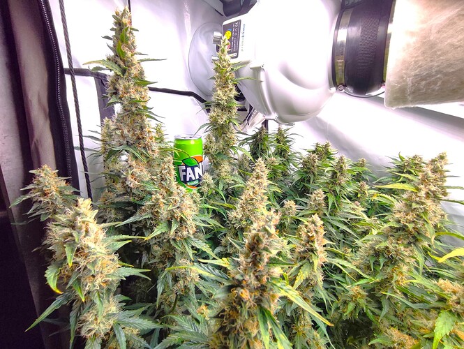 Growreport Bild 14