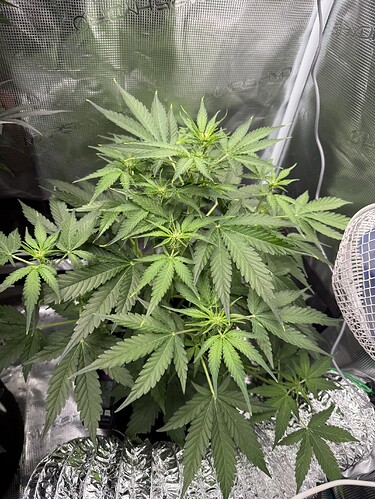 Growreport Bild 20