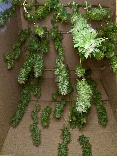 Growreport Bild 6