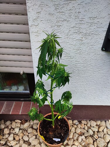 Growreport Bild 22