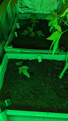 PXL_20260422_072642434