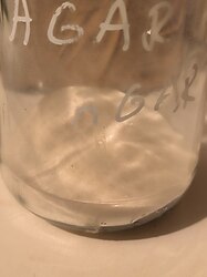 photo_2025-01-22_14-00-18