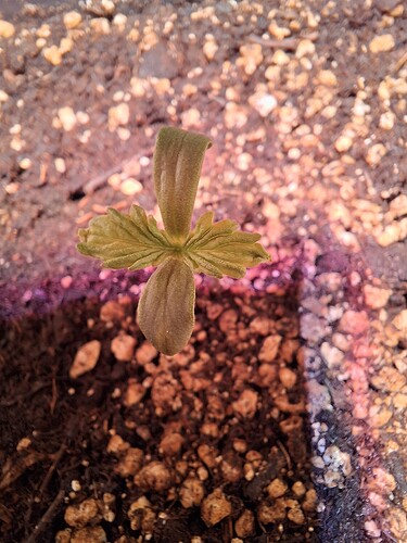 Growreport Bild 12
