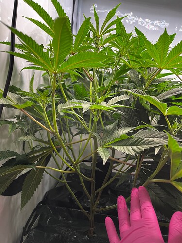 Growreport Bild 2