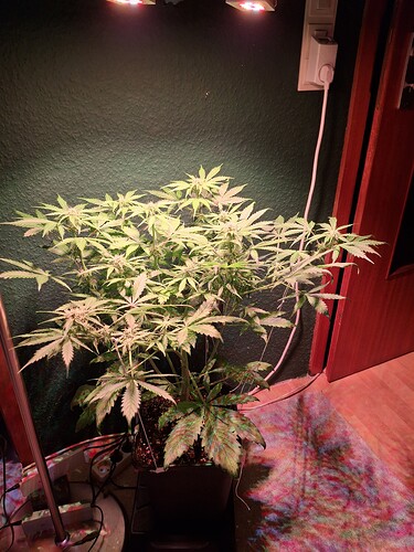 Growreport Bild 12
