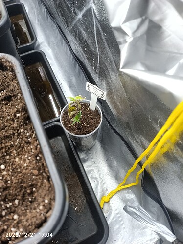 Growreport Bild 11