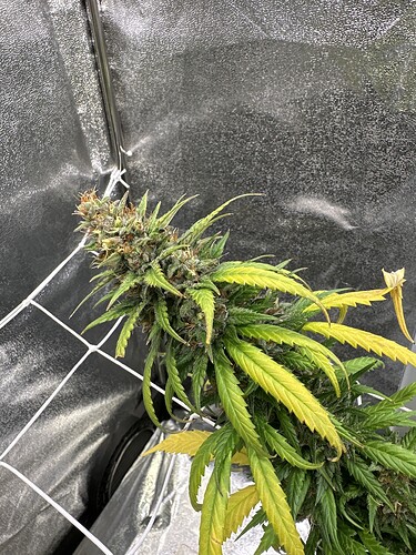 Growreport Bild 17