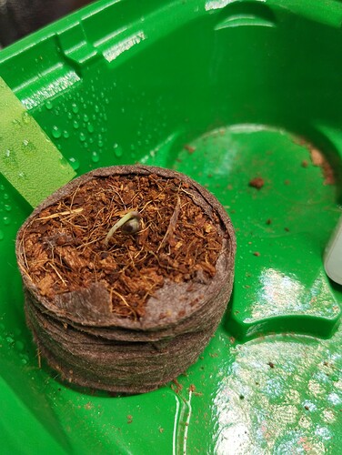 Growreport Bild 21