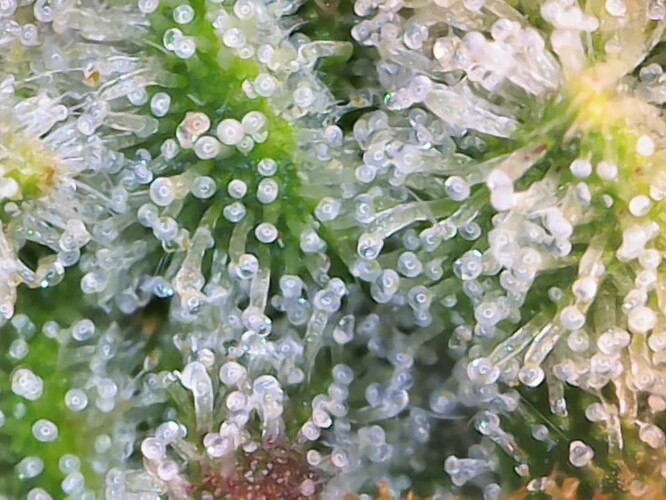 cap_Video_2025-06-07 19_21_33_884_00_04_44_10