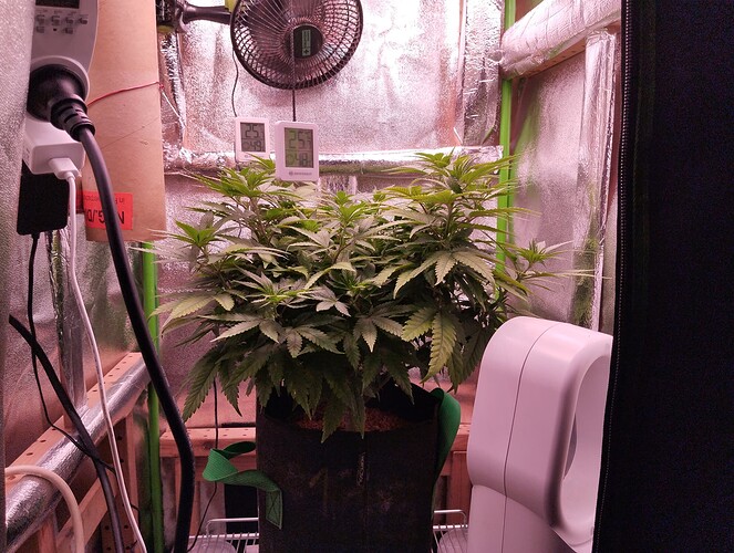 IMG_20241117_164906 - Kopie