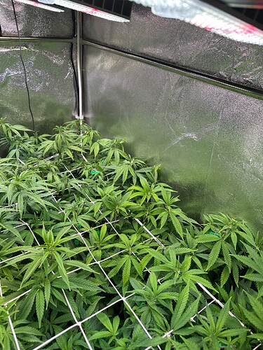 Growreport Bild 16