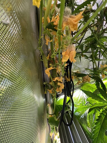 Growreport Bild 3
