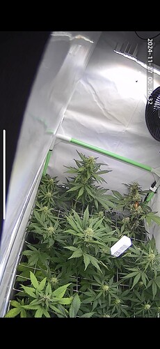 Growreport Bild 14