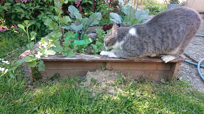 Growreport Bild 22
