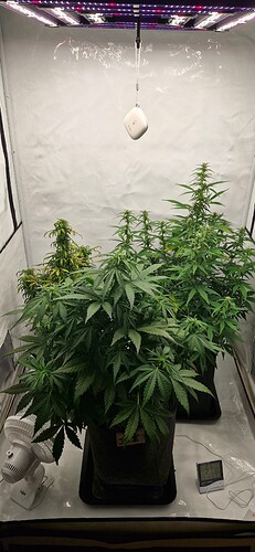 Growreport Bild 30