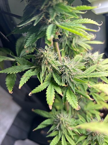 Growreport Bild 6
