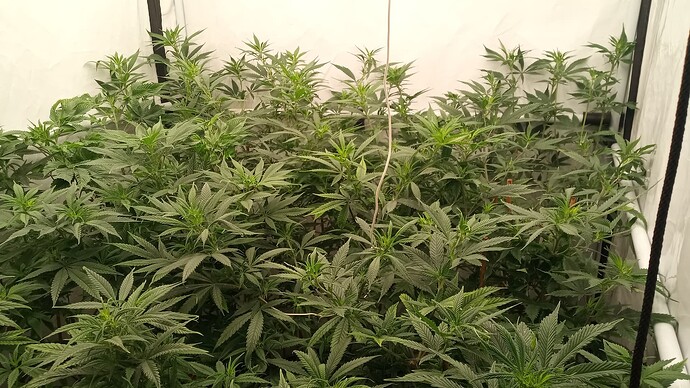 Growreport Bild 10