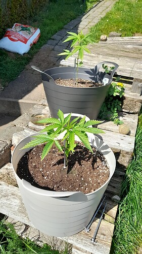 Growreport Bild 11