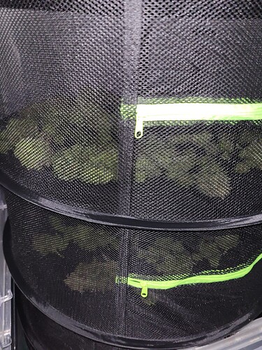 Growreport Bild 21