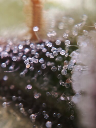 MVIMG_20251121_193331