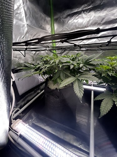 Growreport Bild 11
