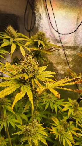 Growreport Bild 8