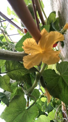 Growreport Bild 58