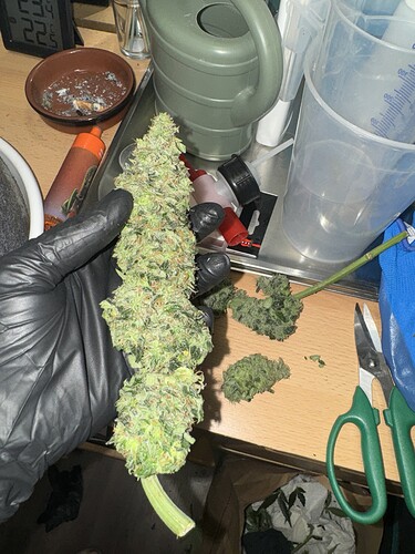Growreport Bild 22