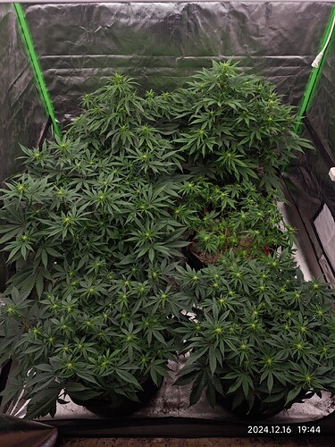 Growreport Bild 1