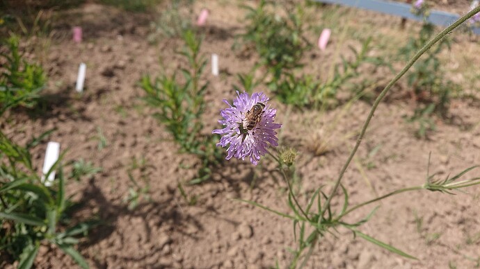 Growreport Bild 2