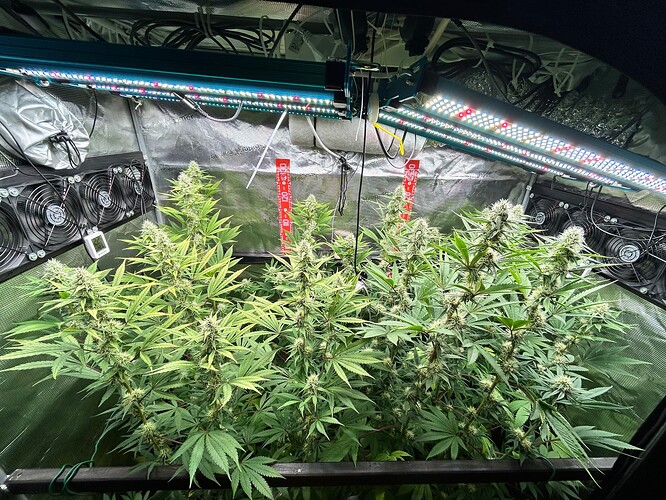 Growreport Bild 2