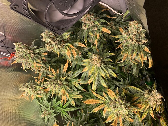 Growreport Bild 4