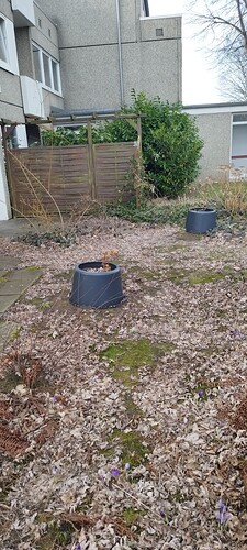 IMG_20250225_153702