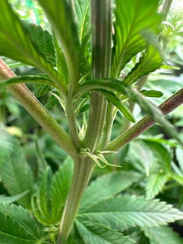 Growreport Bild 22